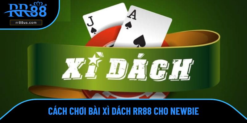 Cách chơi bài xì dách RR88 cho newbie Cách chơi bài xì dách RR88 cho newbie