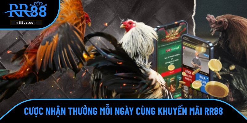 Cược nhận thưởng mỗi ngày cùng khuyến mãi RR88 Cược nhận thưởng mỗi ngày cùng khuyến mãi RR88