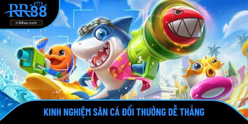 Kinh nghiệm săn cá đổi thưởng dễ thắng Kinh nghiệm săn cá đổi thưởng dễ thắng