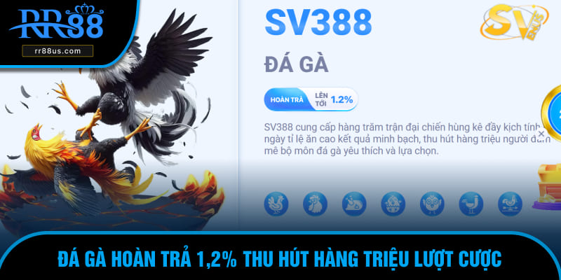 da-ga-rr88